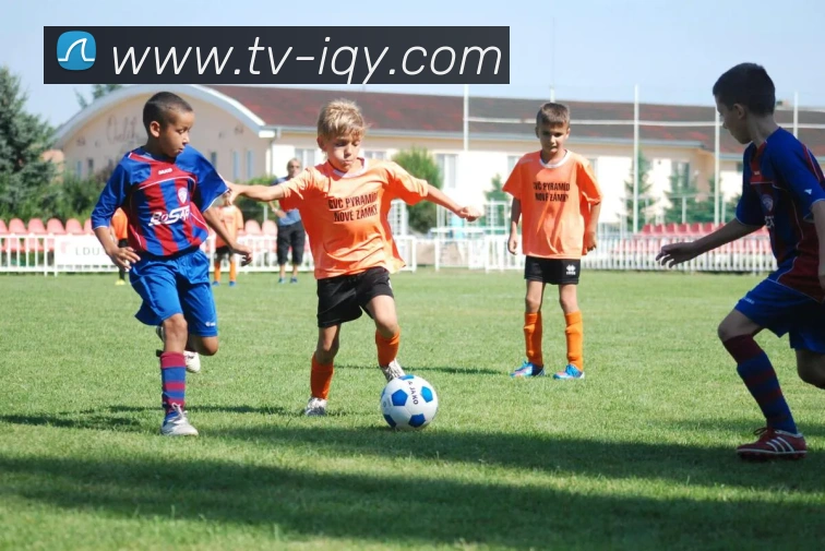 爱奇艺体育服务体系